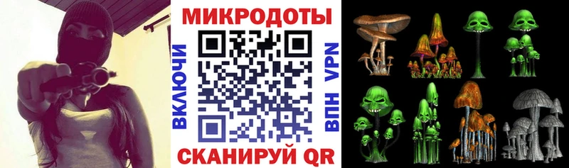 Галлюциногенные грибы мухоморы  MEGA ТОР  Белая Холуница  где продают  