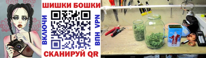 Шишки марихуана семена  Белая Холуница 